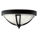 A thumbnail of the Hinkley Lighting H2633 Black