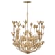 A thumbnail of the Hinkley Lighting 30016 Chandelier with Canopy - BNG