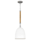 A thumbnail of the Hinkley Lighting 3364 Pendant with Canopy - AN