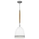 A thumbnail of the Hinkley Lighting 3364 Pendant with Canopy - AN-GR