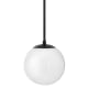 A thumbnail of the Hinkley Lighting 3747 Black / Frosted