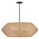 A thumbnail of the Hinkley Lighting 40385 Pendant with Canopy - BLK-CML