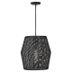 A thumbnail of the Hinkley Lighting 40387 Pendant with Canopy - BLK