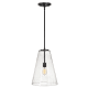 A thumbnail of the Hinkley Lighting 41047 Pendant with Canopy - SK