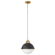 A thumbnail of the Hinkley Lighting 4834 Pendant with Canopy - DZ