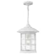 A thumbnail of the Hinkley Lighting 1802 Classic White