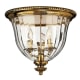 A thumbnail of the Hinkley Lighting H3612 Burnished Brass