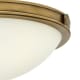 A thumbnail of the Hinkley Lighting 3783 Alternate Image