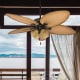 A thumbnail of the Honeywell Ceiling Fans Palm Valley 4 Light Alternate Image