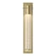 A thumbnail of the Hubbardton Forge 206455 Modern Brass / Seeded