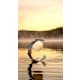 A thumbnail of the Hubbardton Forge 272111 Alternate Image