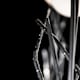 A thumbnail of the Hubbardton Forge 272114 Alternate Image