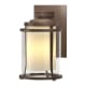 A thumbnail of the Hubbardton Forge 305605 Coastal Bronze / Seedy