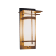 A thumbnail of the Hubbardton Forge 305993 Coastal Natural Iron / Opal