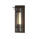 A thumbnail of the Hubbardton Forge 305996 Coastal Bronze / Seedy