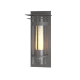 A thumbnail of the Hubbardton Forge 305996 Coastal Burnished Steel / Seedy