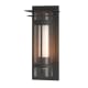 A thumbnail of the Hubbardton Forge 305999 Coastal Natural Iron / Seedy