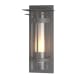 A thumbnail of the Hubbardton Forge 305999 Coastal Burnished Steel / Seedy