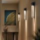 A thumbnail of the Hubbardton Forge 307920 Alternate Image