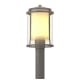 A thumbnail of the Hubbardton Forge 345610 Coastal Burnished Steel / Seedy