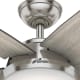 A thumbnail of the Hunter Avia II 52 LED Housing View