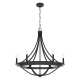A thumbnail of the Hunter Perch Point 30 Chandelier Alternate Image