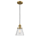 A thumbnail of the Innovations Lighting 201C Small Cone Brushed Brass / Seedy