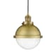 A thumbnail of the Innovations Lighting 201C-12-9 Hampden Pendant Brushed Brass / Seedy