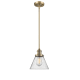 A thumbnail of the Innovations Lighting 201S Large Cone Brushed Brass / Seedy