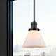 A thumbnail of the Innovations Lighting 201S Large Cone Alternate Image