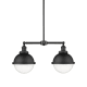 A thumbnail of the Innovations Lighting 209-13-18 Hampden Linear Matte Black / Seedy