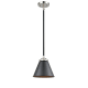 A thumbnail of the Innovations Lighting 284-1S Appalachian Black Polished Nickel / Matte Black