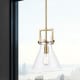 A thumbnail of the Innovations Lighting 411-1SM-14-10 Newton Cone Pendant Alternate Image