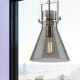 A thumbnail of the Innovations Lighting 411-1SM-14-10 Newton Cone Pendant Alternate Image