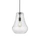 A thumbnail of the Innovations Lighting 491-1P-16-12 Fairfield Pendant Matte Black / Seedy