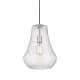 A thumbnail of the Innovations Lighting 491-1P-16-12 Fairfield Pendant Brushed Satin Nickel / Seedy