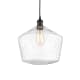 A thumbnail of the Innovations Lighting 616-1P-14-12 Cindyrella Pendant Matte Black / Seedy