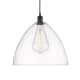 A thumbnail of the Innovations Lighting 616-1P-18-16 Edison Dome Pendant Matte Black / Clear