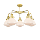 A thumbnail of the Innovations Lighting 916-5CR-14-25 Olean Chandelier Alternate Image