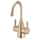 A thumbnail of the InSinkErator FHC1010 Brushed Bronze