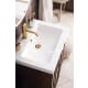 A thumbnail of the James Martin Vanities E110V24RGDWG Alternate Image