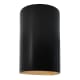 A thumbnail of the Justice Design Group CER-1265W-LED1-1000 Carbon Matte Black / Champagne Gold