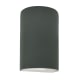 A thumbnail of the Justice Design Group CER-5940W-LED1-1000 Pewter Green