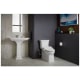 A thumbnail of the Kohler K-26132-CSP Alternate Image