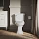 A thumbnail of the Kohler K-4648 Alternate Image