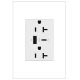 A thumbnail of the Legrand ARTRUSB206AC White