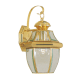 A thumbnail of the Livex Lighting 2151 Polished Brass