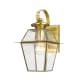 A thumbnail of the Livex Lighting 2181 Antique Brass Gallery Image 3