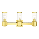 A thumbnail of the Livex Lighting 17143 Polished Brass