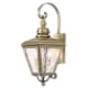 A thumbnail of the Livex Lighting 2031 Antique Brass